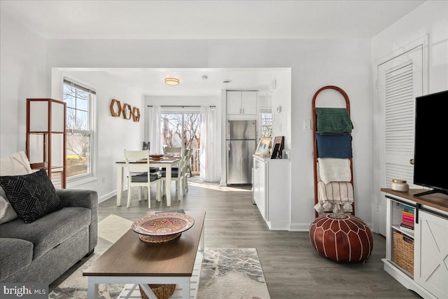 living room featuring wood-type flooring