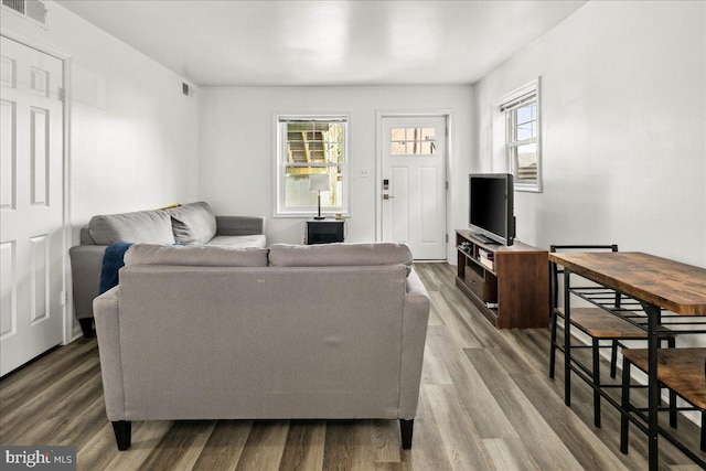 living room with wood-type flooring and a wealth of natural light