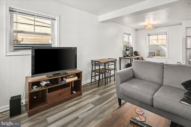 living room featuring hardwood / wood-style floors