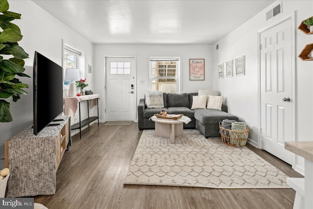 living room with hardwood / wood-style flooring