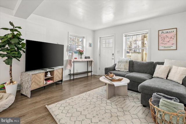 living room featuring hardwood / wood-style flooring and a wealth of natural light