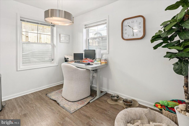 office featuring dark hardwood / wood-style floors