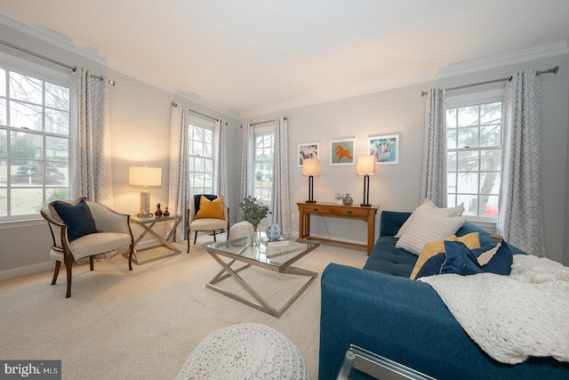 living area featuring baseboards, carpet, and crown molding