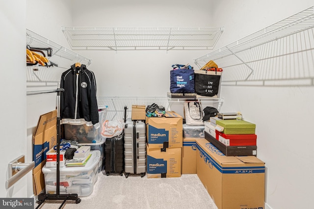 1603 Trotter St, Frederick, MD 21702 - view of storage area