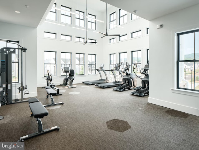 1603 Trotter St, Frederick, MD 21702 - workout area featuring carpet flooring and a towering ceiling