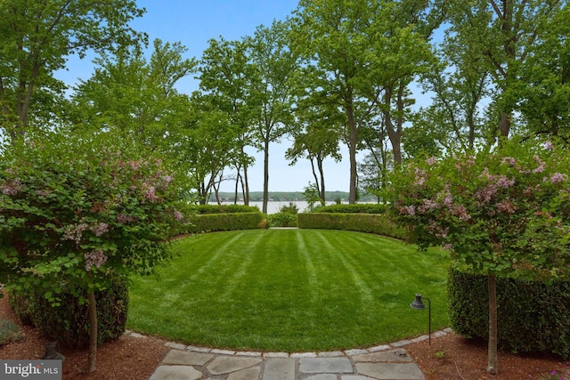 938 Old County Rd, Severna Park, MD 21146 - view of yard with a water view