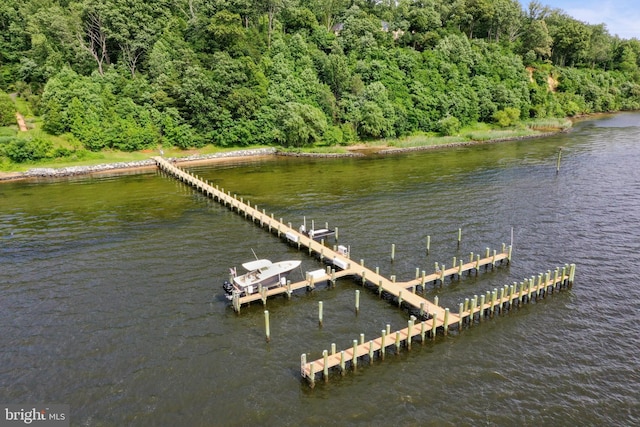 938 Old County Rd, Severna Park, MD 21146 - view of dock featuring a water view and a forest view