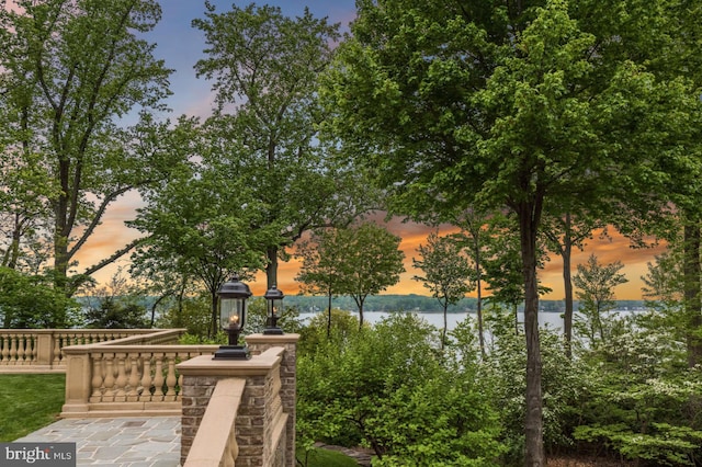 938 Old County Rd, Severna Park, MD 21146 - view of community with a water view