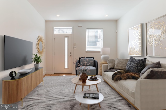 living room featuring light wood-type flooring