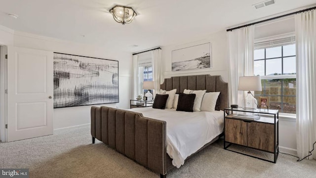 carpeted bedroom with multiple windows