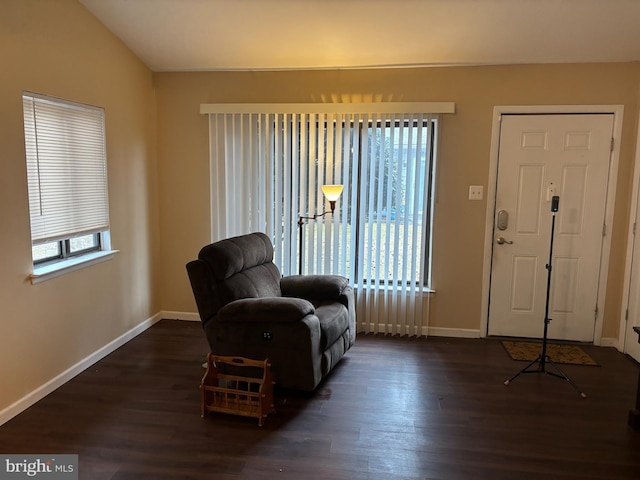 interior space with dark wood-type flooring