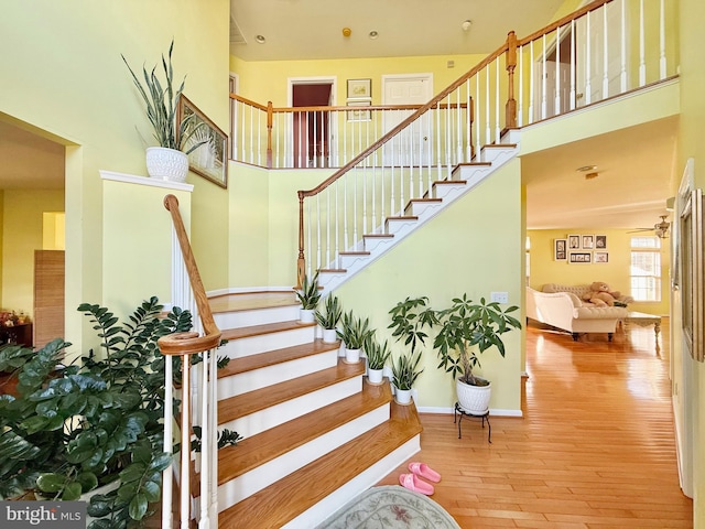 staircase featuring hardwood / wood-style floors and a high ceiling