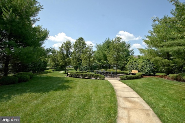 view of property's community featuring a lawn