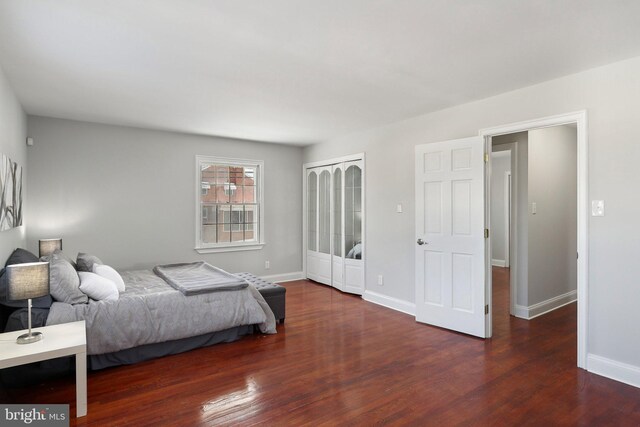 bedroom featuring dark wood-type flooring and a closet