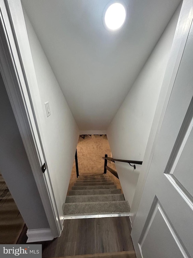 staircase featuring wood-type flooring