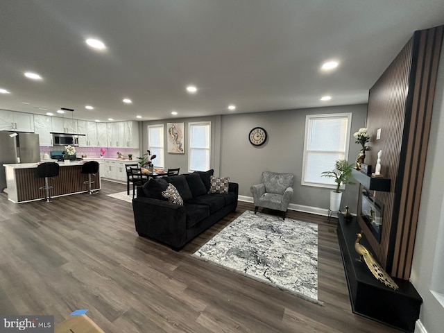 living room featuring dark hardwood / wood-style flooring