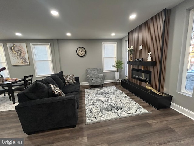 living room featuring a large fireplace and dark wood-type flooring