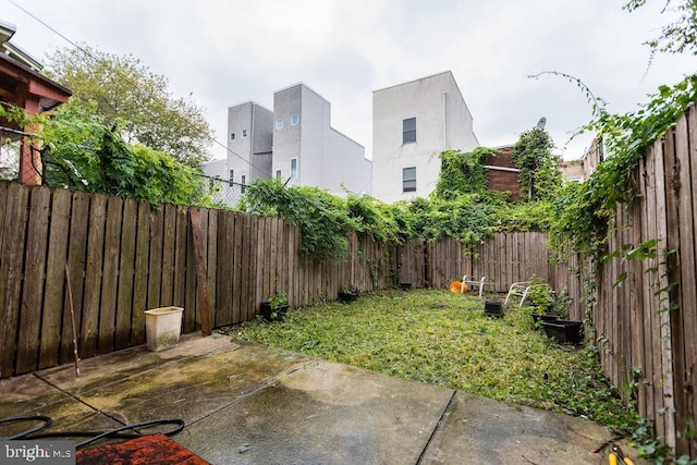 view of yard featuring a patio