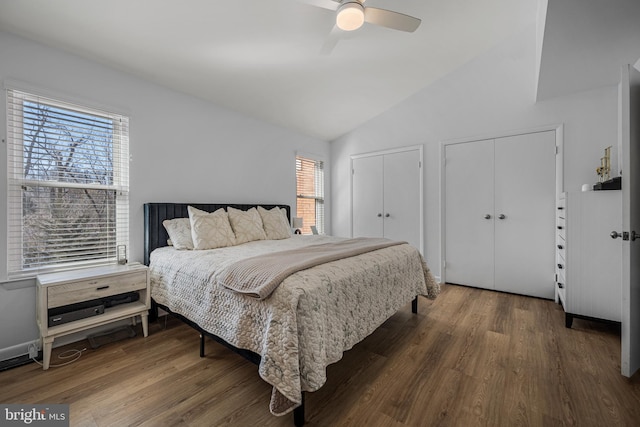 bedroom with multiple windows, vaulted ceiling, multiple closets, and wood finished floors