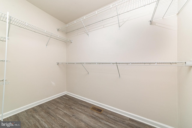 spacious closet featuring wood finished floors and visible vents