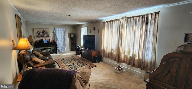 carpeted living room with a textured ceiling and crown molding