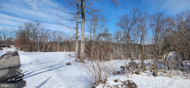 view of snowy yard