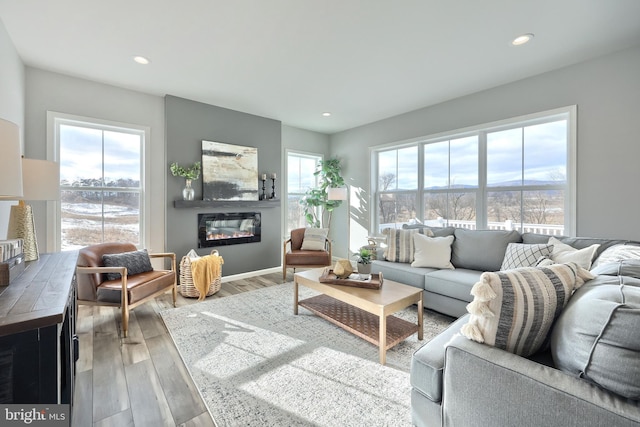 living room featuring hardwood / wood-style flooring