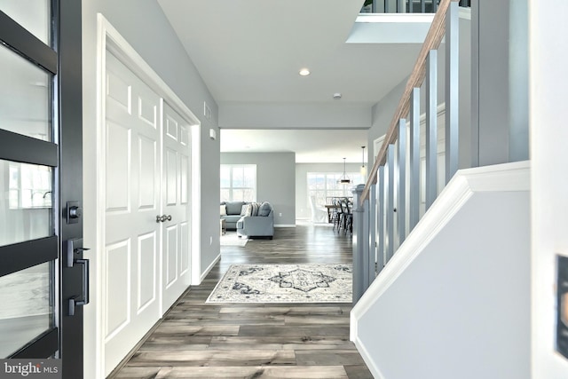 foyer entrance featuring dark hardwood / wood-style flooring