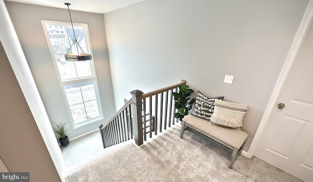 stairs featuring plenty of natural light and carpet floors