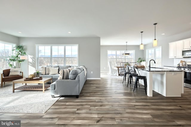 living room featuring dark hardwood / wood-style flooring and sink