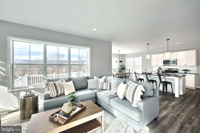 living room featuring dark wood-type flooring