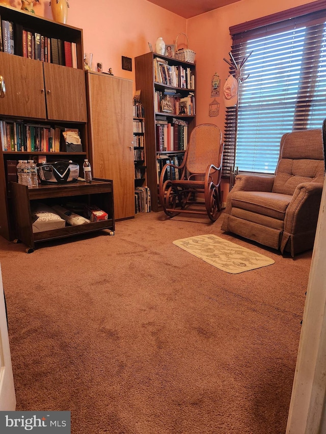 living area with carpet floors