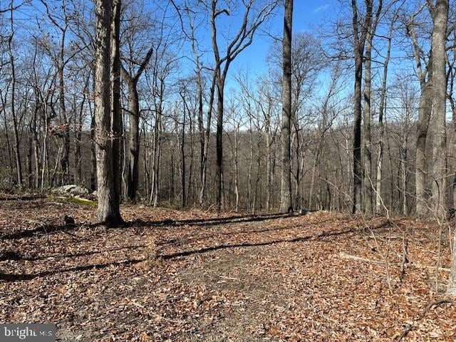 2.08ACRES Deer Path Rd, Augusta WV, 26704 land for sale