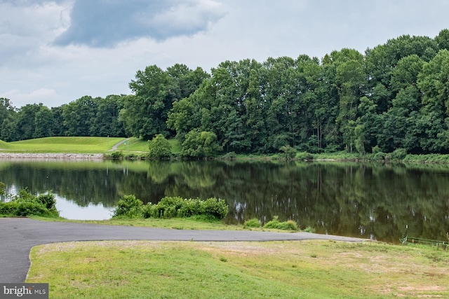 property view of water