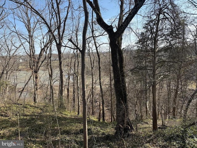 view of nature featuring a wooded view