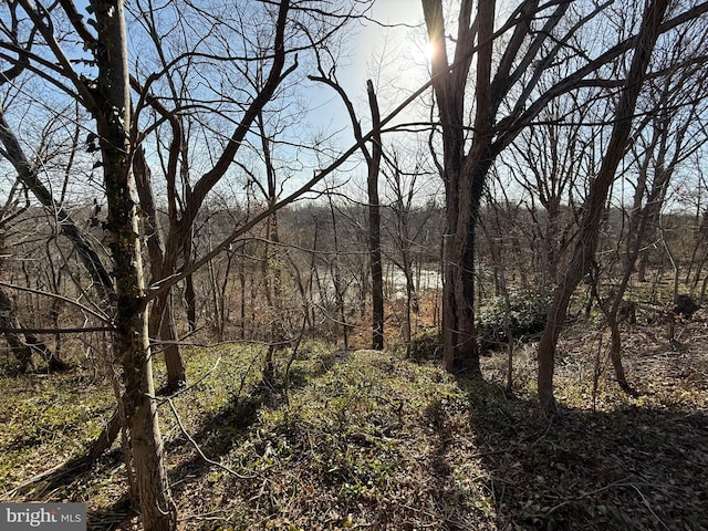 view of landscape with a forest view