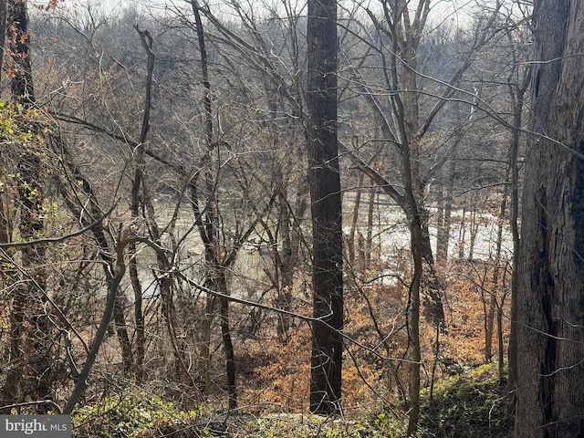 view of landscape featuring a wooded view