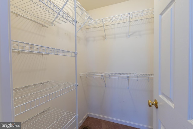 spacious closet with carpet floors