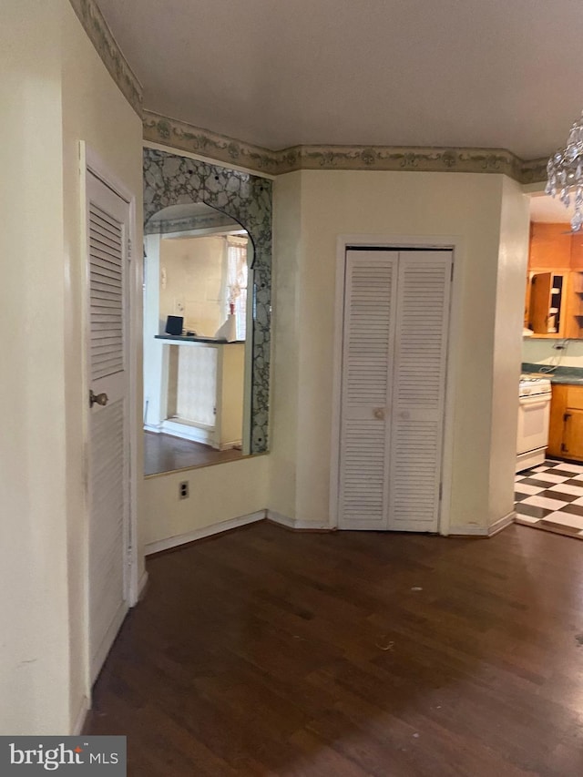 unfurnished bedroom featuring a closet and dark hardwood / wood-style flooring