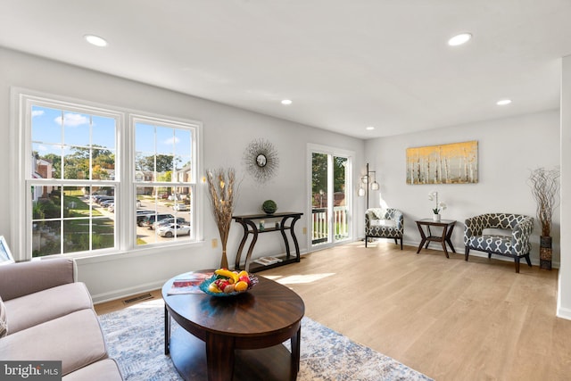 living room featuring light hardwood / wood-style flooring