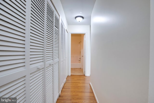 40 Smokewood Ct Unit 200, Stafford, VA 22554 - hall with light wood-type flooring and baseboards