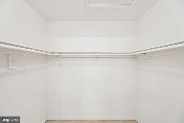view of spacious closet