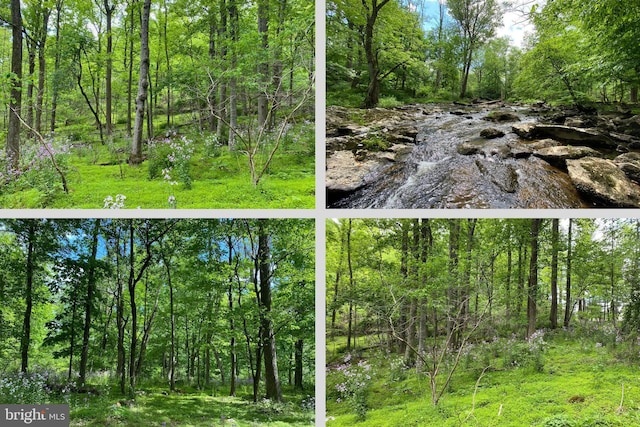 12509 Stottlemyer Rd, Myersville MD, 21773 land for sale