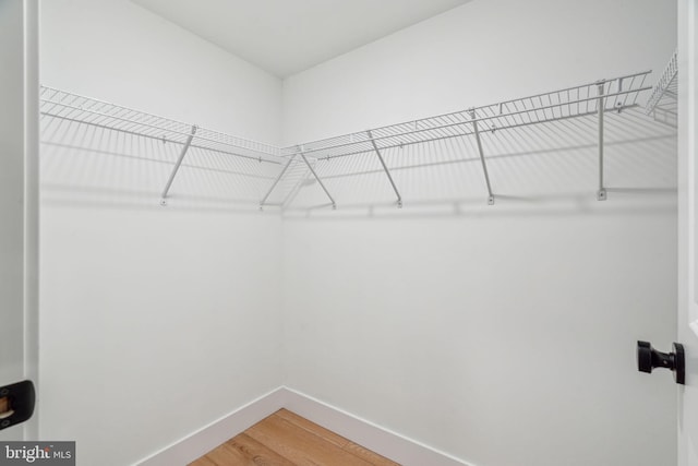 spacious closet featuring wood finished floors