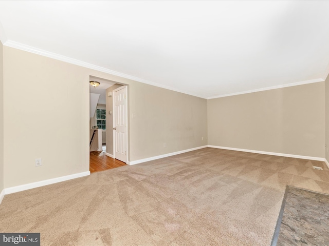 spare room with crown molding and carpet flooring