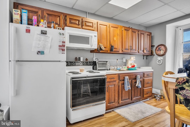 kitchen with sink, white appliances, a paneled ceiling, and light hardwood / wood-style floors