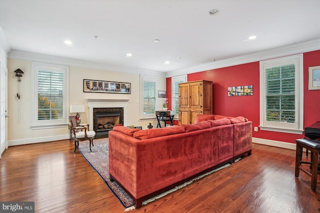 living room with wood finished floors, a healthy amount of sunlight, ornamental molding, and a high end fireplace