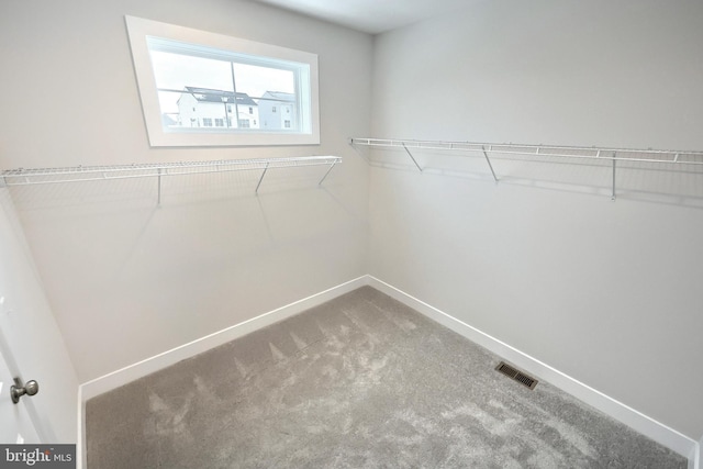 spacious closet featuring carpet floors