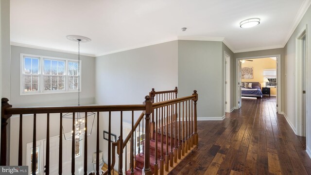 corridor with an upstairs landing, a chandelier, dark wood finished floors, and crown molding