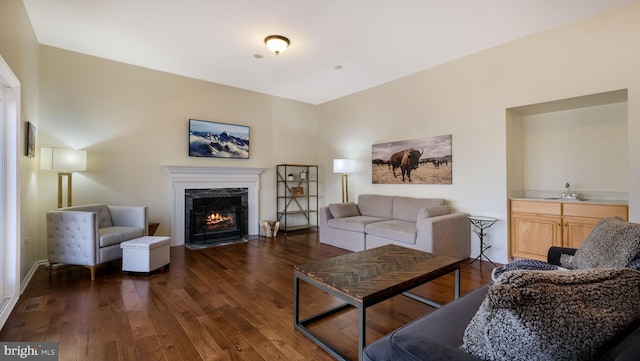 living area with a fireplace and dark wood-style flooring